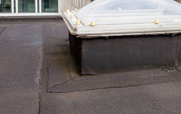 disadvantages of Dromore flat roofs
